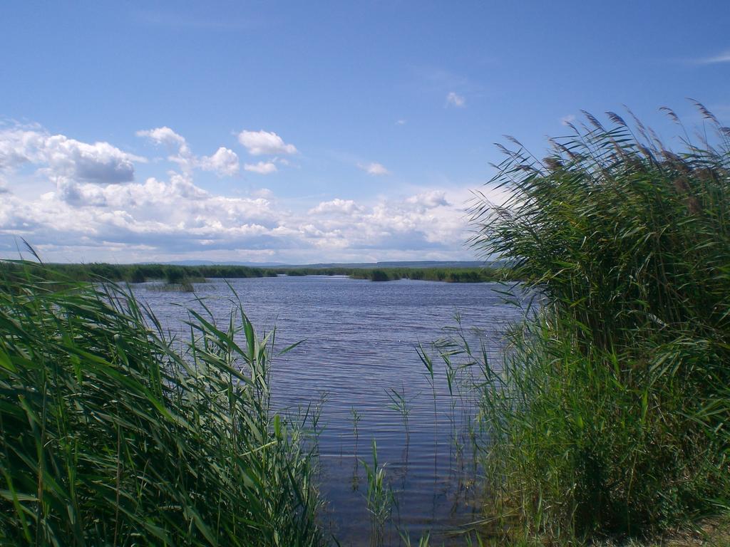 Ferienwohnungen Feldsee Illmitz Esterno foto