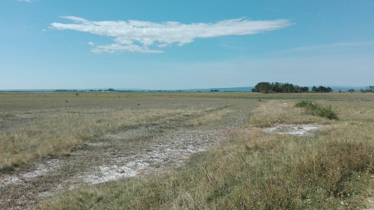 Ferienwohnungen Feldsee Illmitz Esterno foto