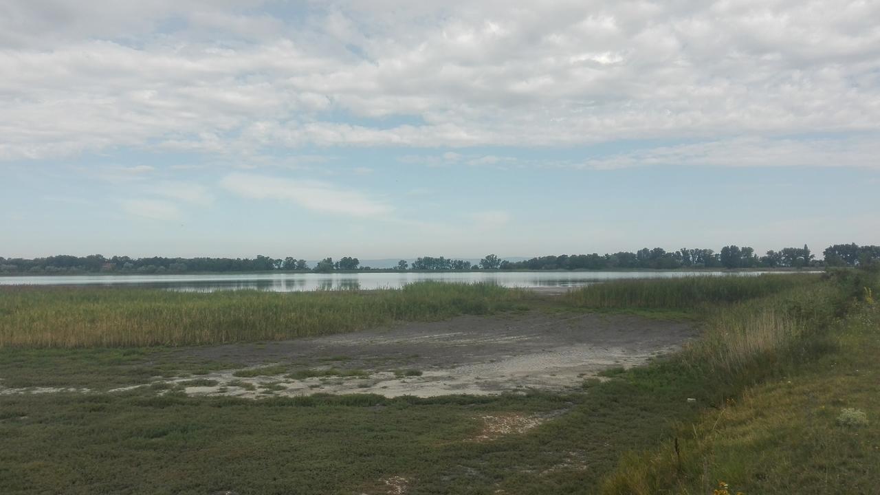 Ferienwohnungen Feldsee Illmitz Esterno foto