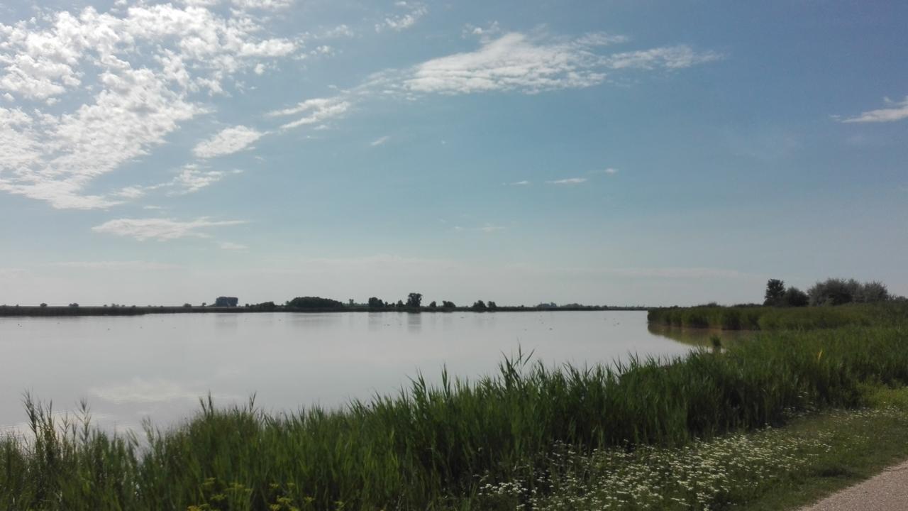 Ferienwohnungen Feldsee Illmitz Esterno foto